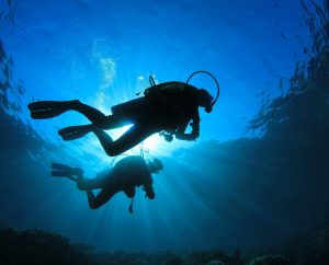 Divers exploring the marine life